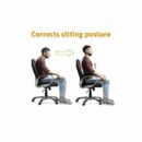 مصحح الوضعية ودعم الظهر - مع الغضروف  Correcteur Posture Et Soutien Du Dos-Avec Cartilage